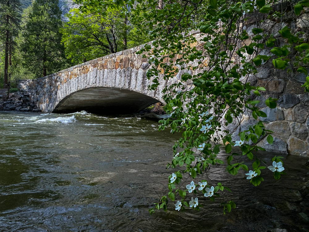 33BDCCA1-CF8D-474C-B5E8-9A2858516E70.jpeg
