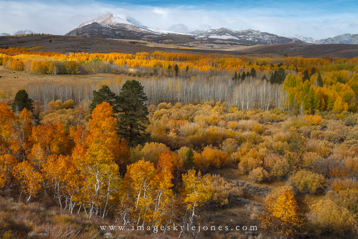 3698 Conway Summit_1200.jpg