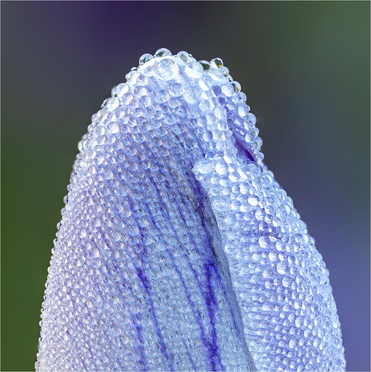 4347 to 4380 stack copy 2square.jpg