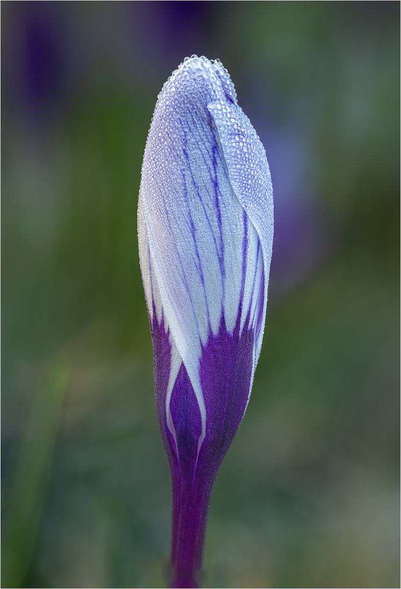 4347 to 4380 stack copy.jpg