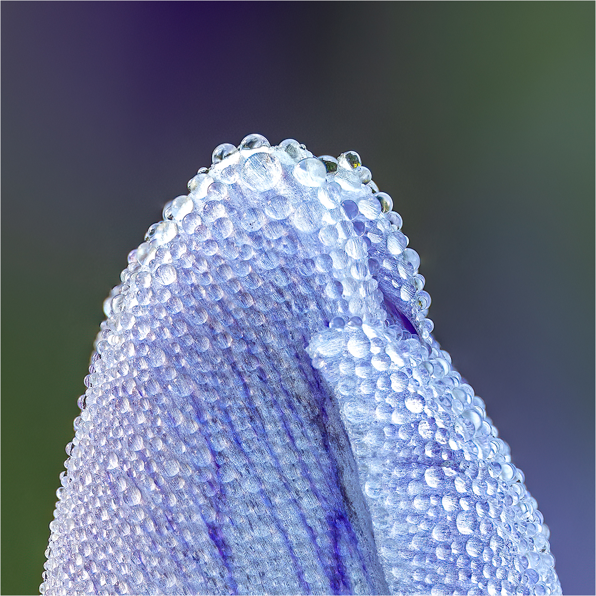 4347 to 4380 stack copy v4.jpg