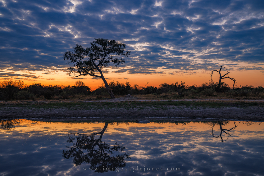 4589 Watering Hole Reflections_850.jpg