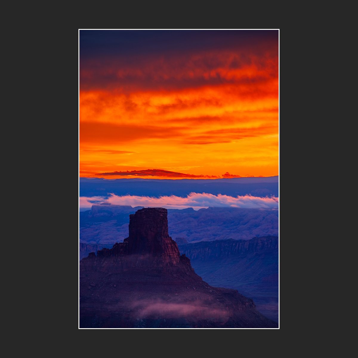 460.jpg