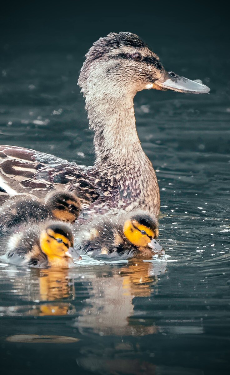 4W0A6975 copy-Edit2.jpeg