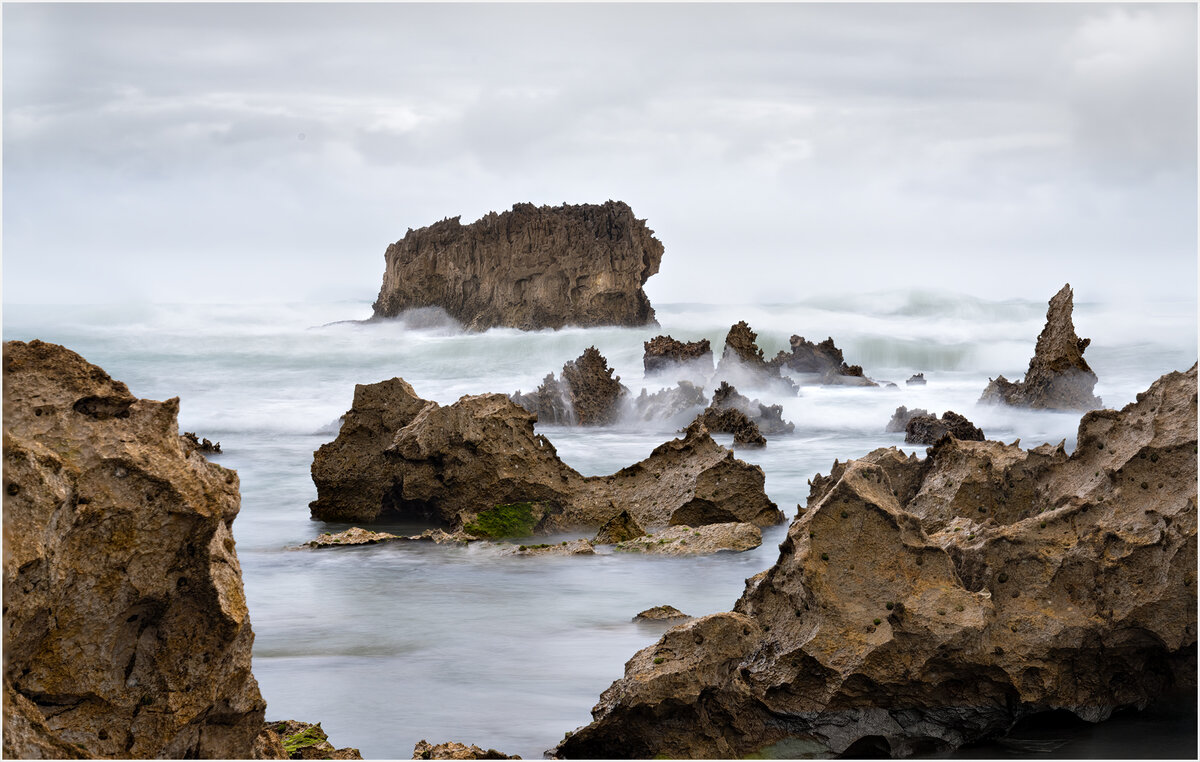 5120 5122 focus stack copy.jpg