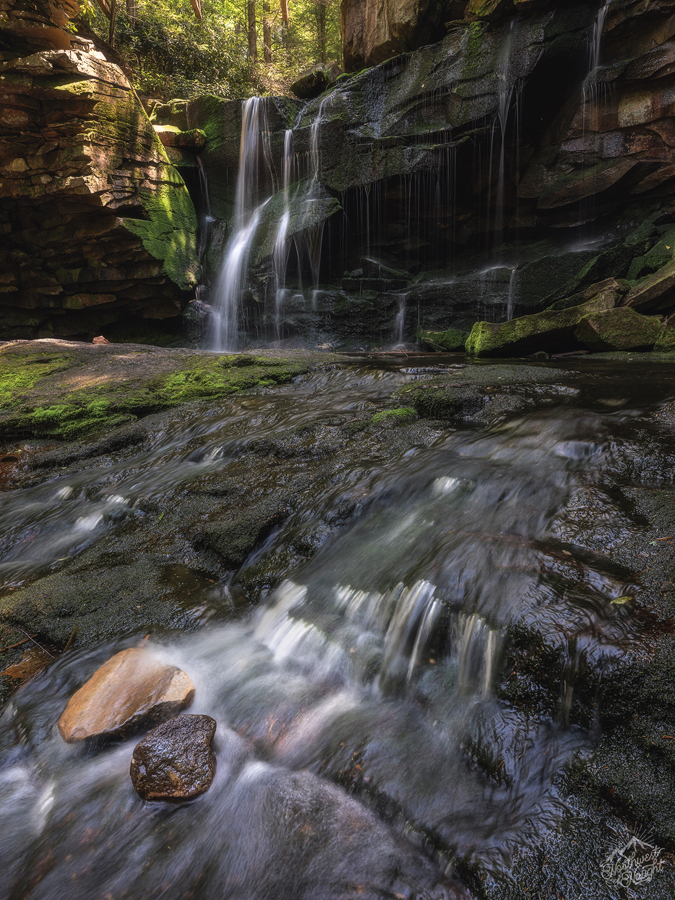 53811964028_0fd7561d80_o (1).jpg