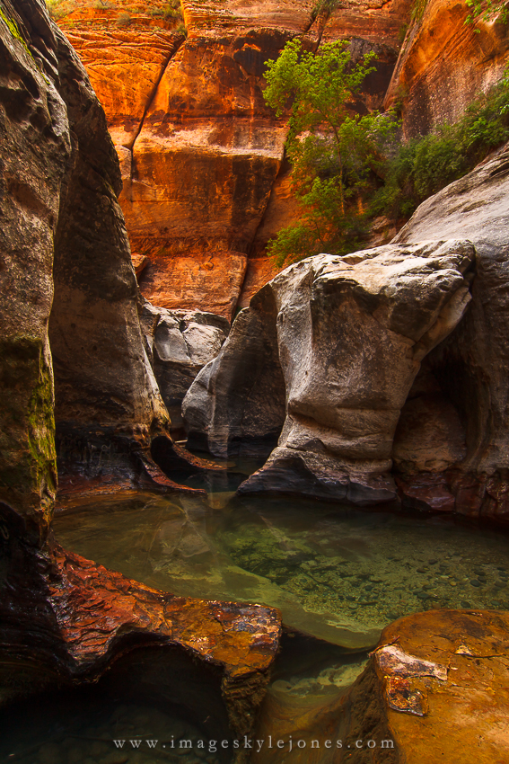 5485 Above the Subway_850.jpg