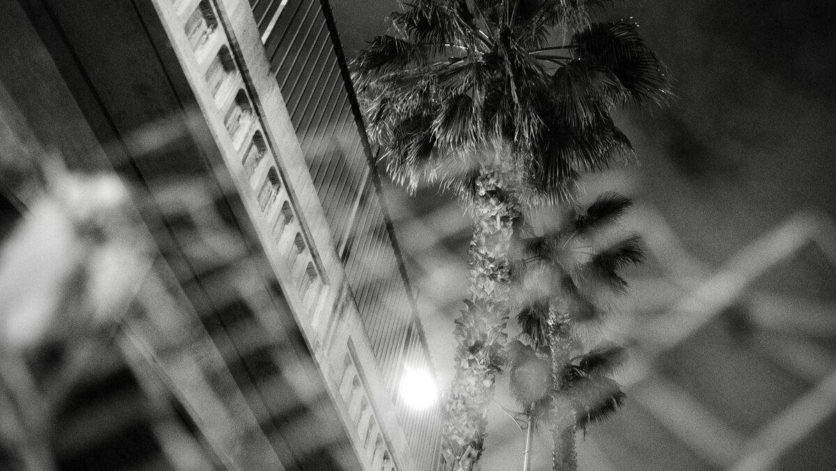 55847202-5D0A-4443-AFB1-145944D7E01B-77170-00000F9E548A0B20.JPEG