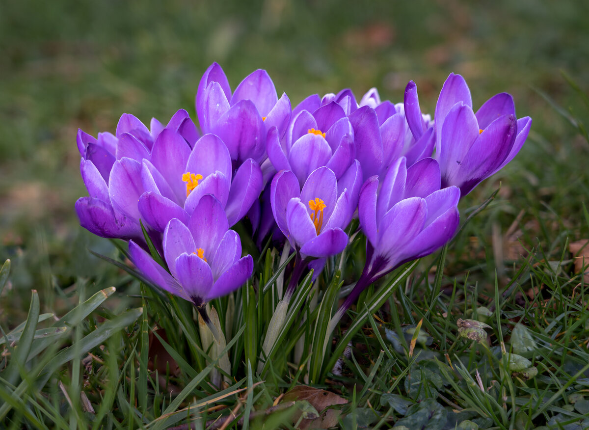 560 to 564 focus stack copy.jpg