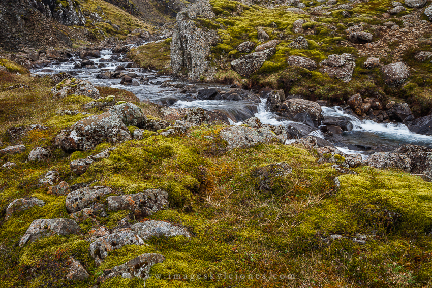 5785 Eastern Iceland Stream_850.jpg