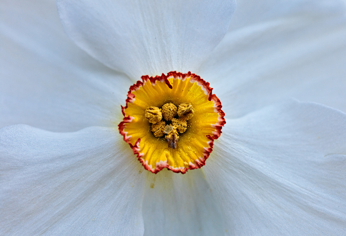 5D2_0004.jpg