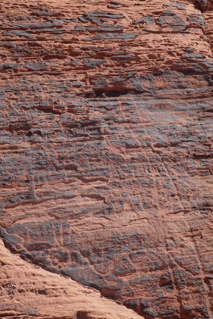 5D2_0835_140902W.JPG