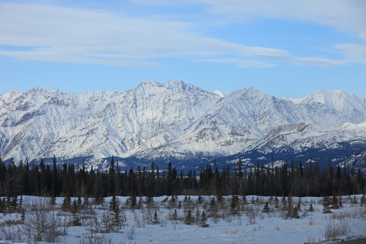 5D2_1271_130328w.JPG
