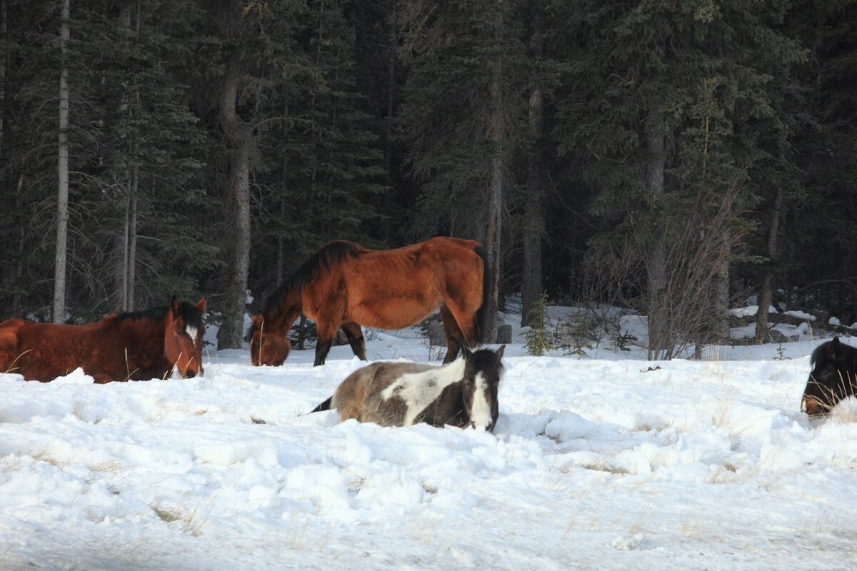 5D2_1348_130328w.JPG