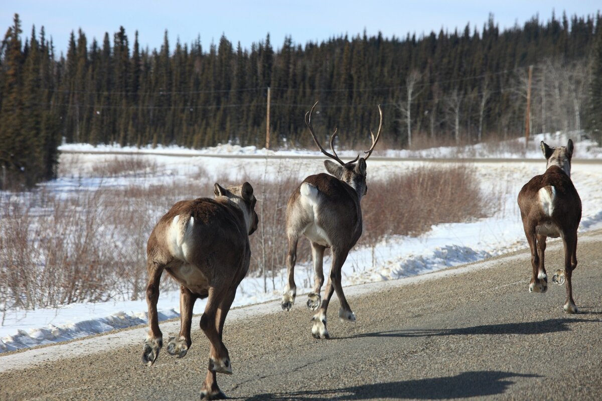 5D2_1497_130328w.JPG