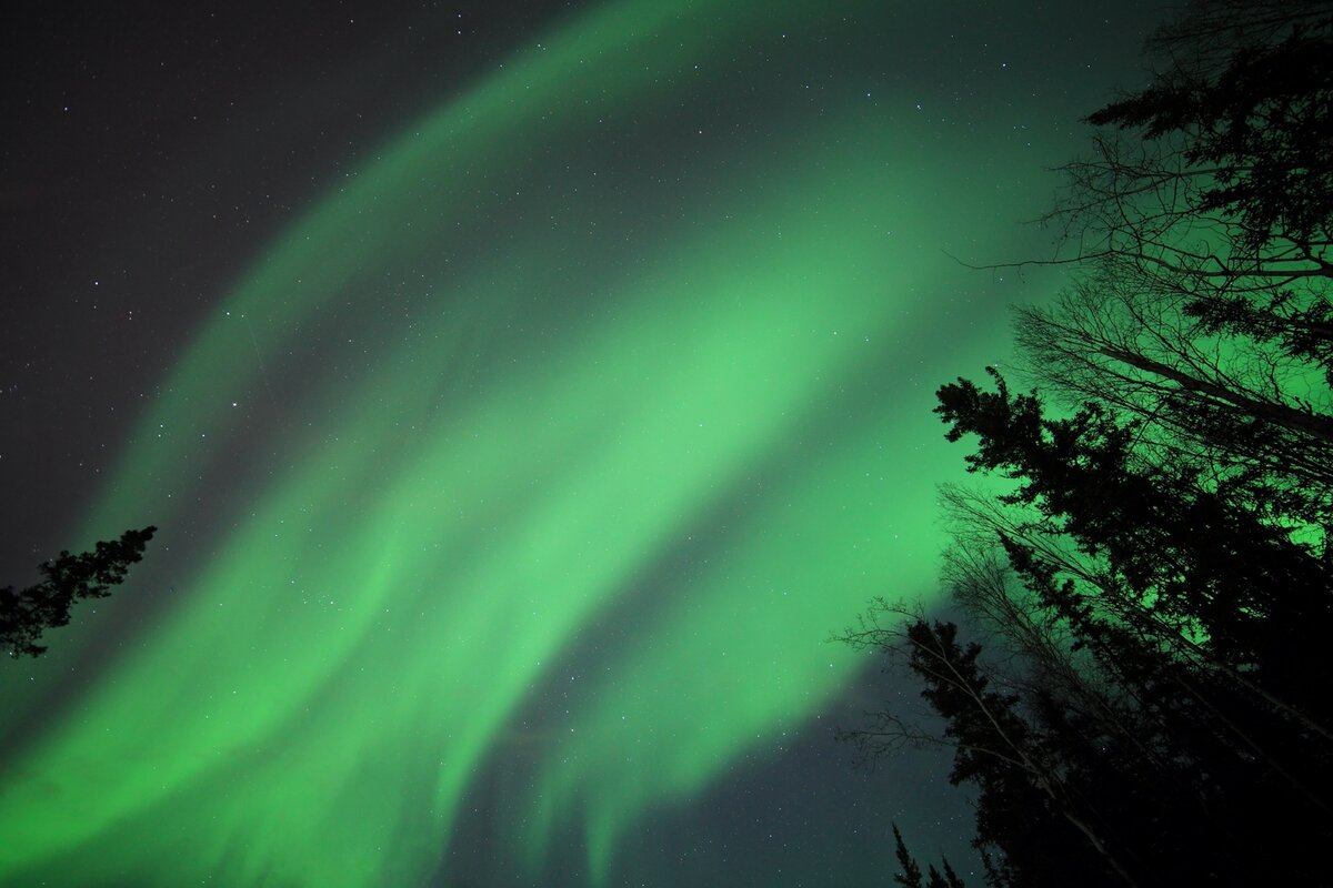 5D2_1566_130328_p2w.JPG