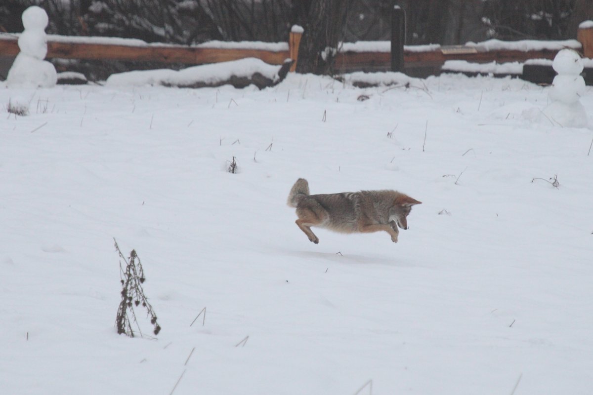 5D2_2215_190107w.JPG