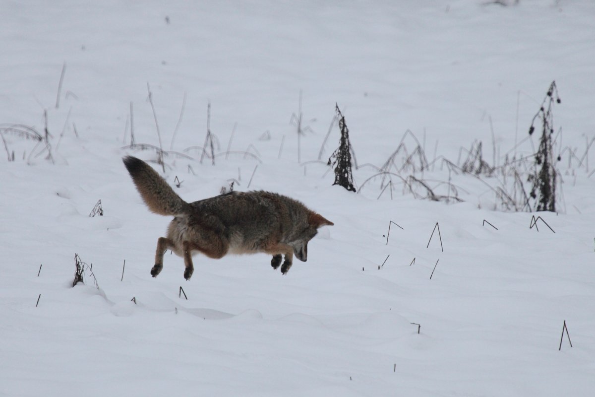 5D2_2249_190107w.JPG