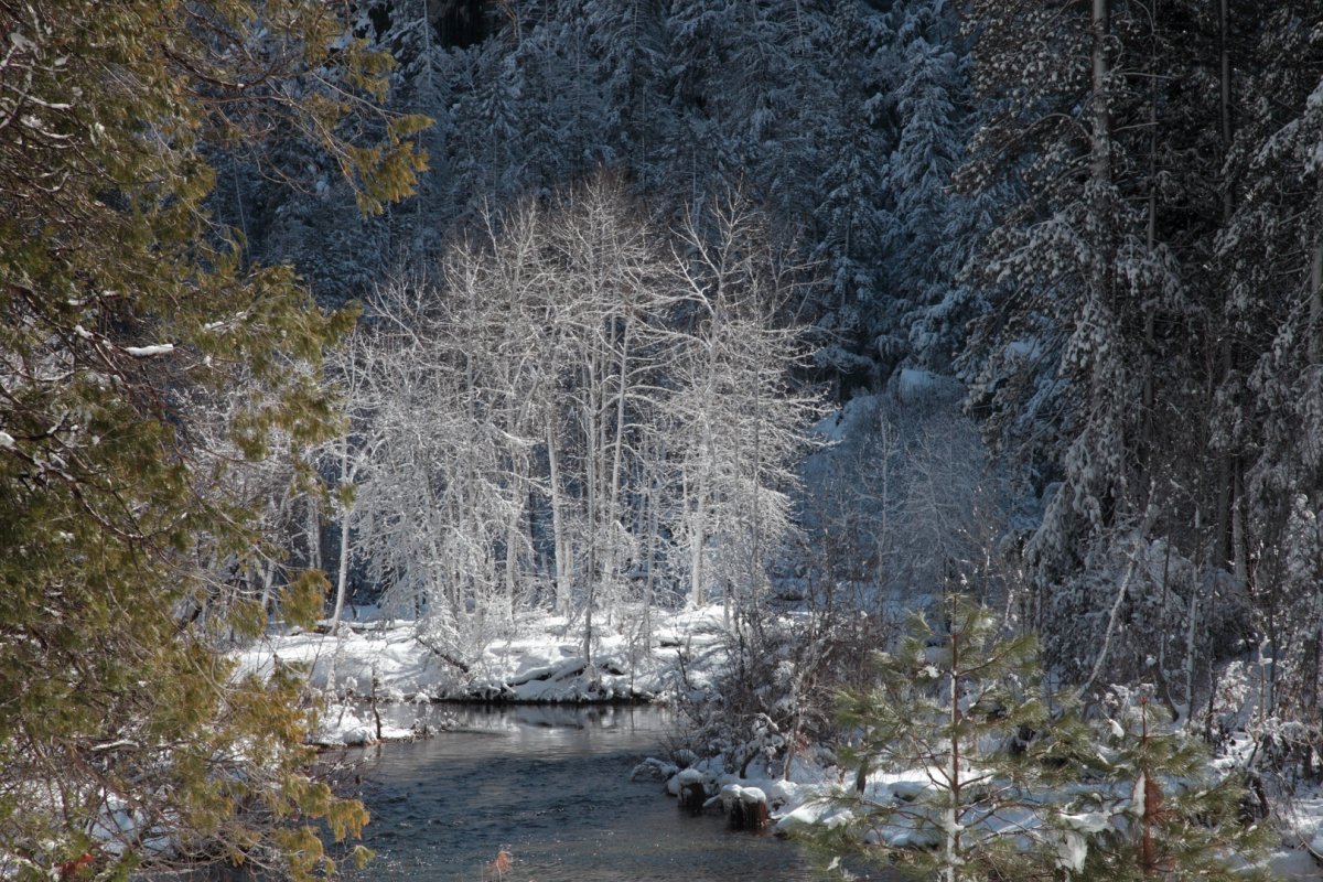 5D2_2410_190212w.jpg