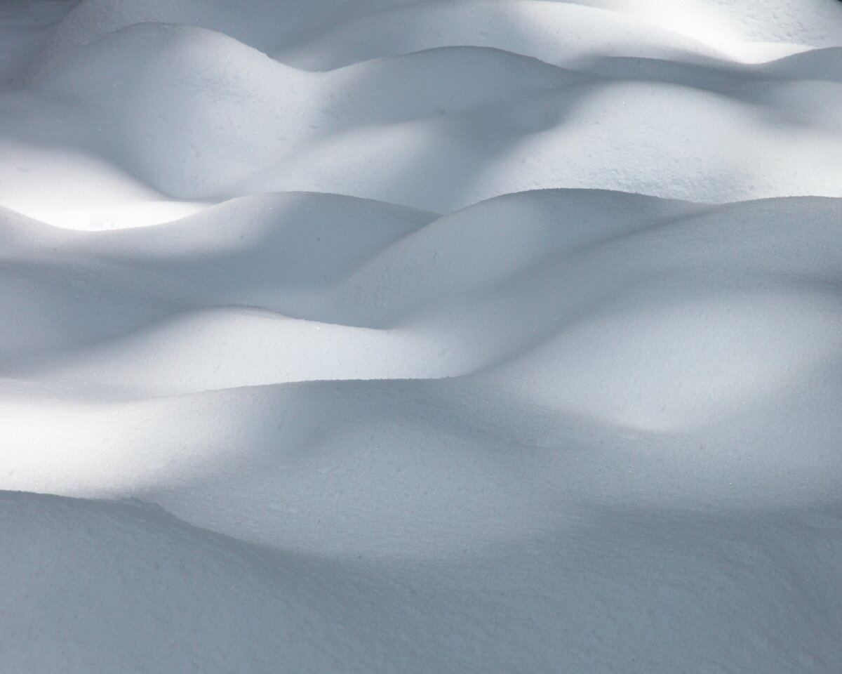 5D2_2517_190212_p1w.jpg