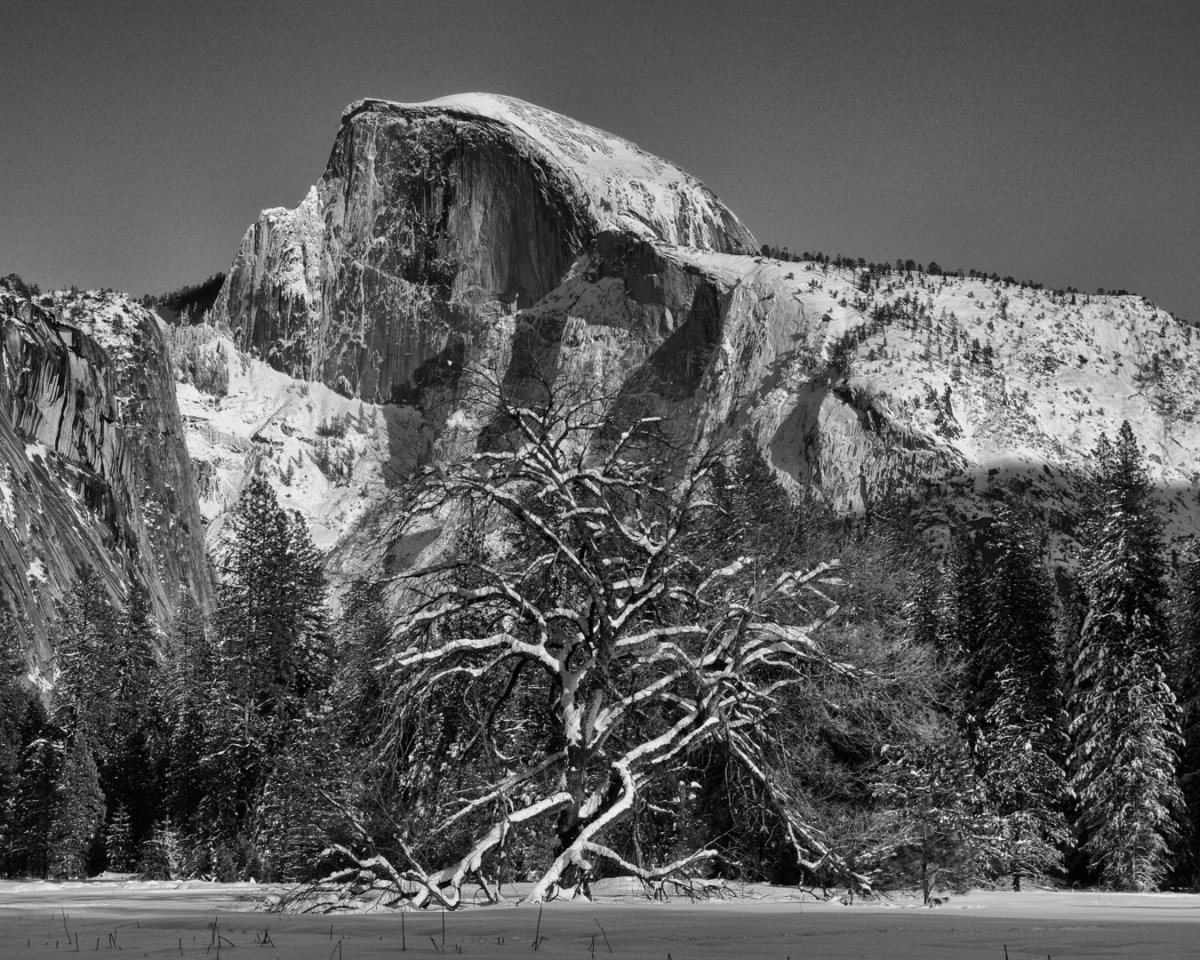 5D2_2630_190212_SE1w.jpg