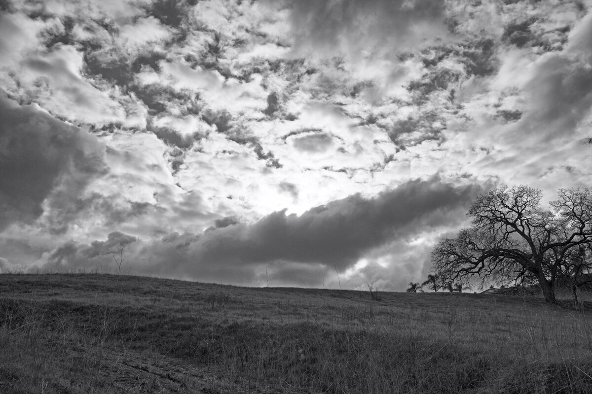 5D2_3025_230129_SE1w.jpg
