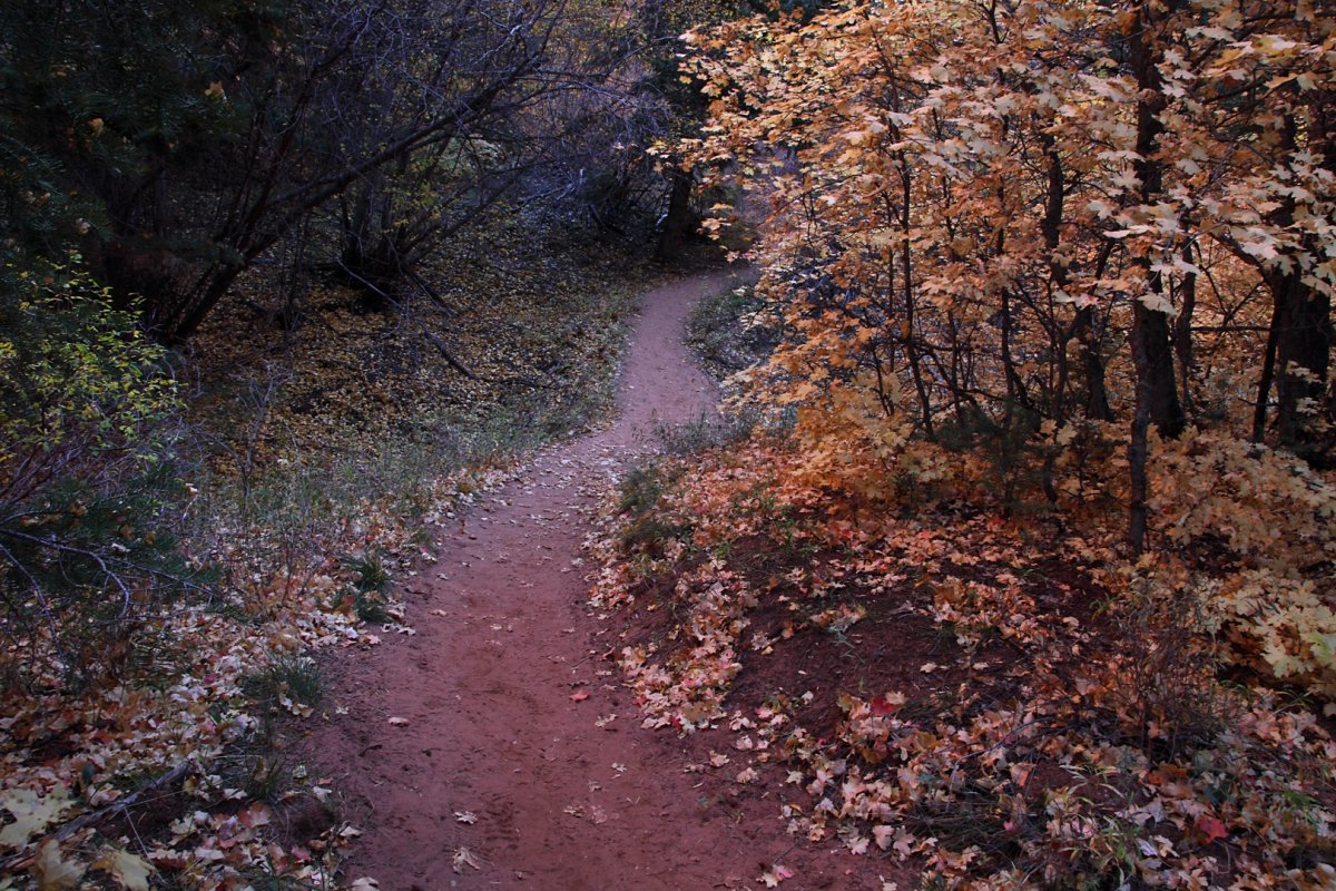 5D2_3068_161021w.jpg