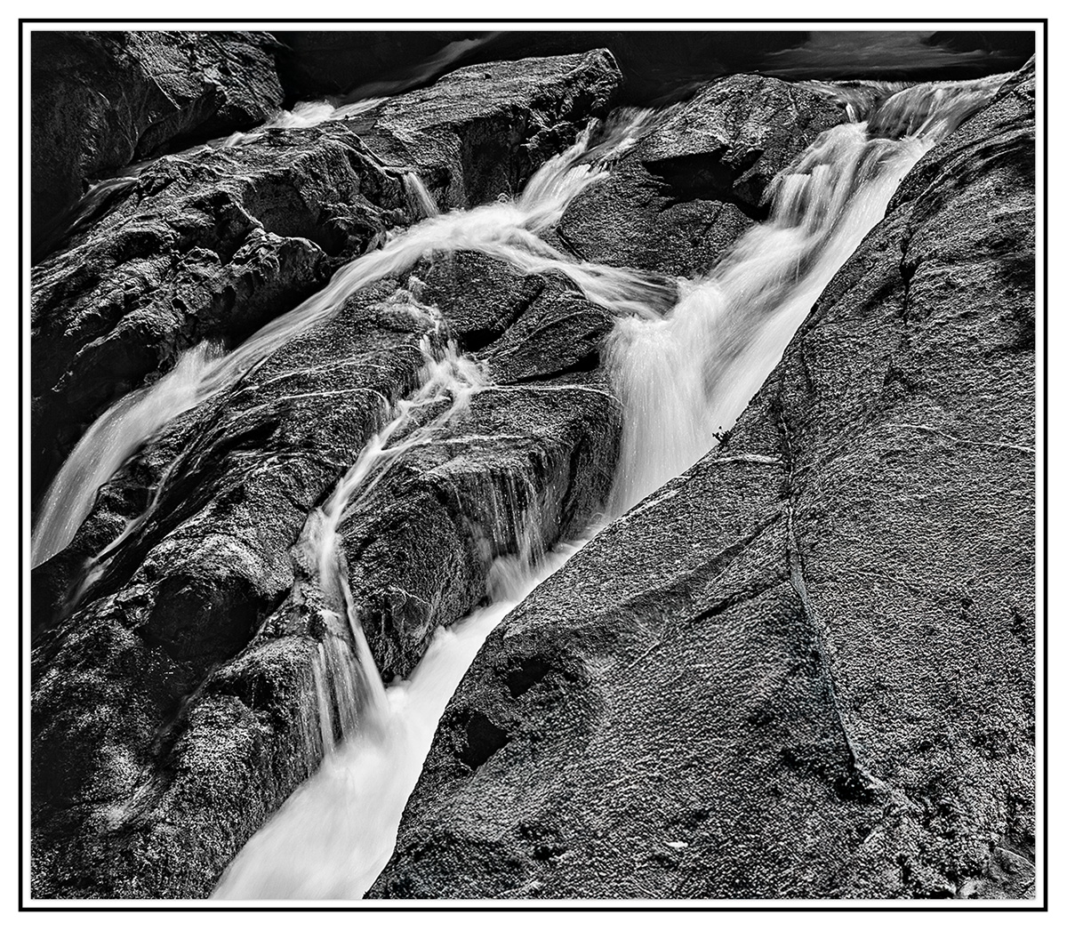 5D2_3365bw.jpg