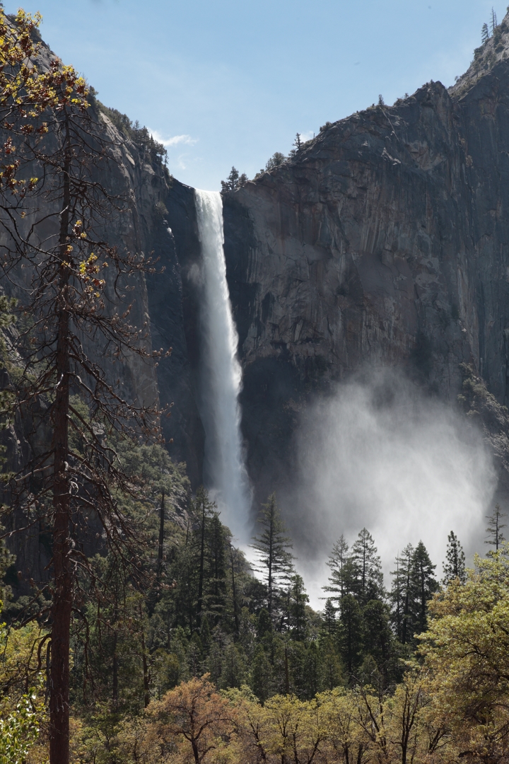 5D2_4225_190508w.jpg