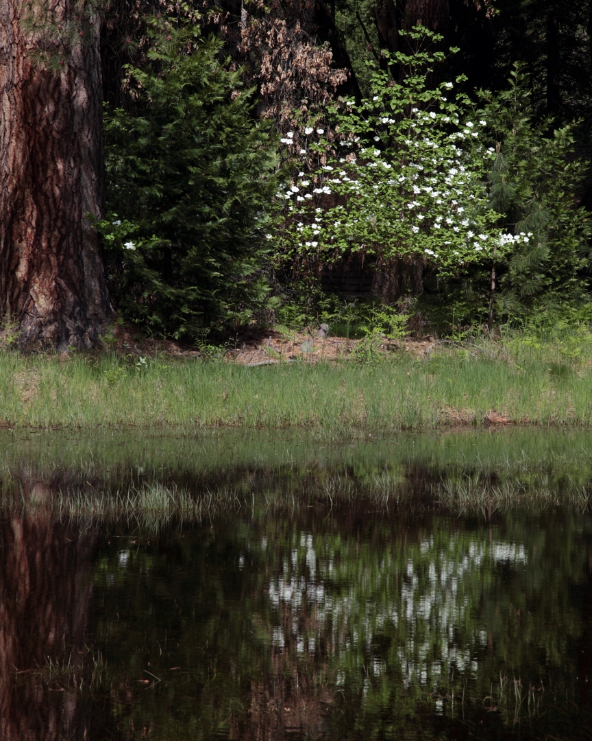 5D2_4317_190508w.jpg