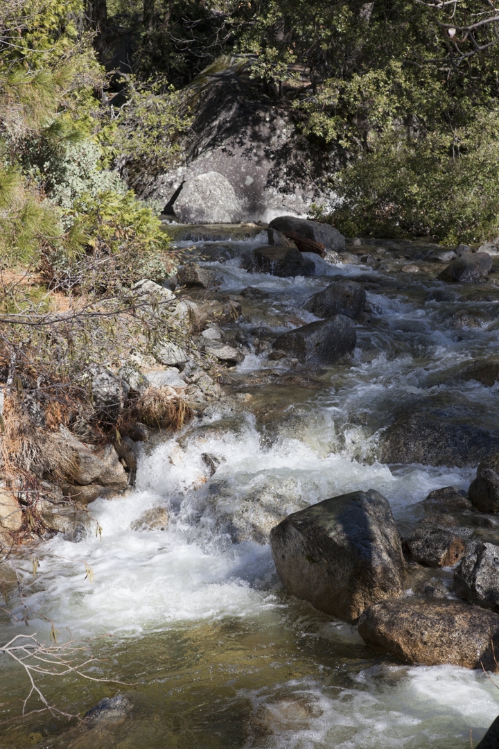 5D2_6426_230210w.jpg