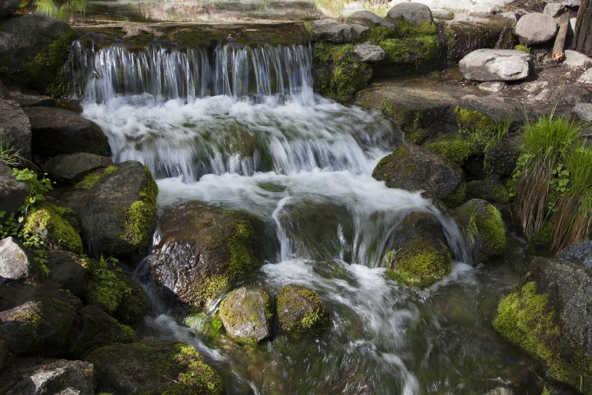 5D2_7509_230510w.jpg