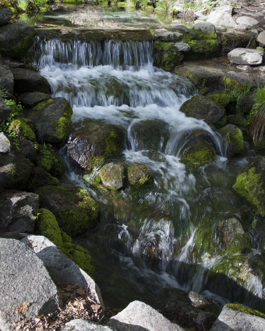 5D2_7510_230510w.jpg