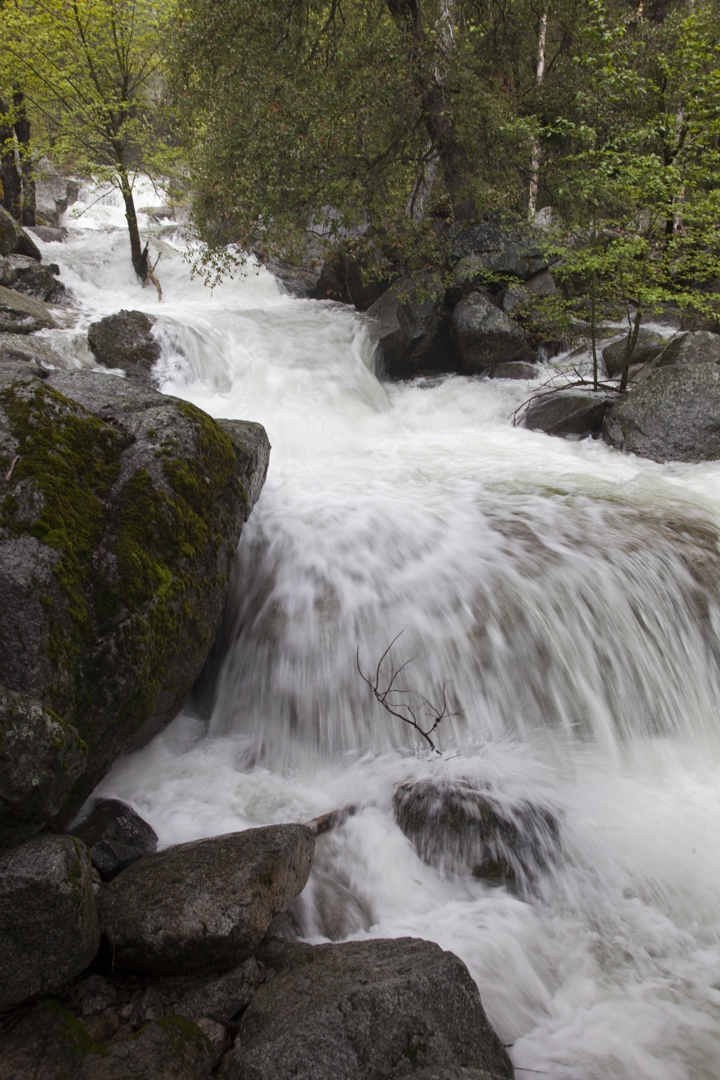 5D2_7970_230608w.JPG