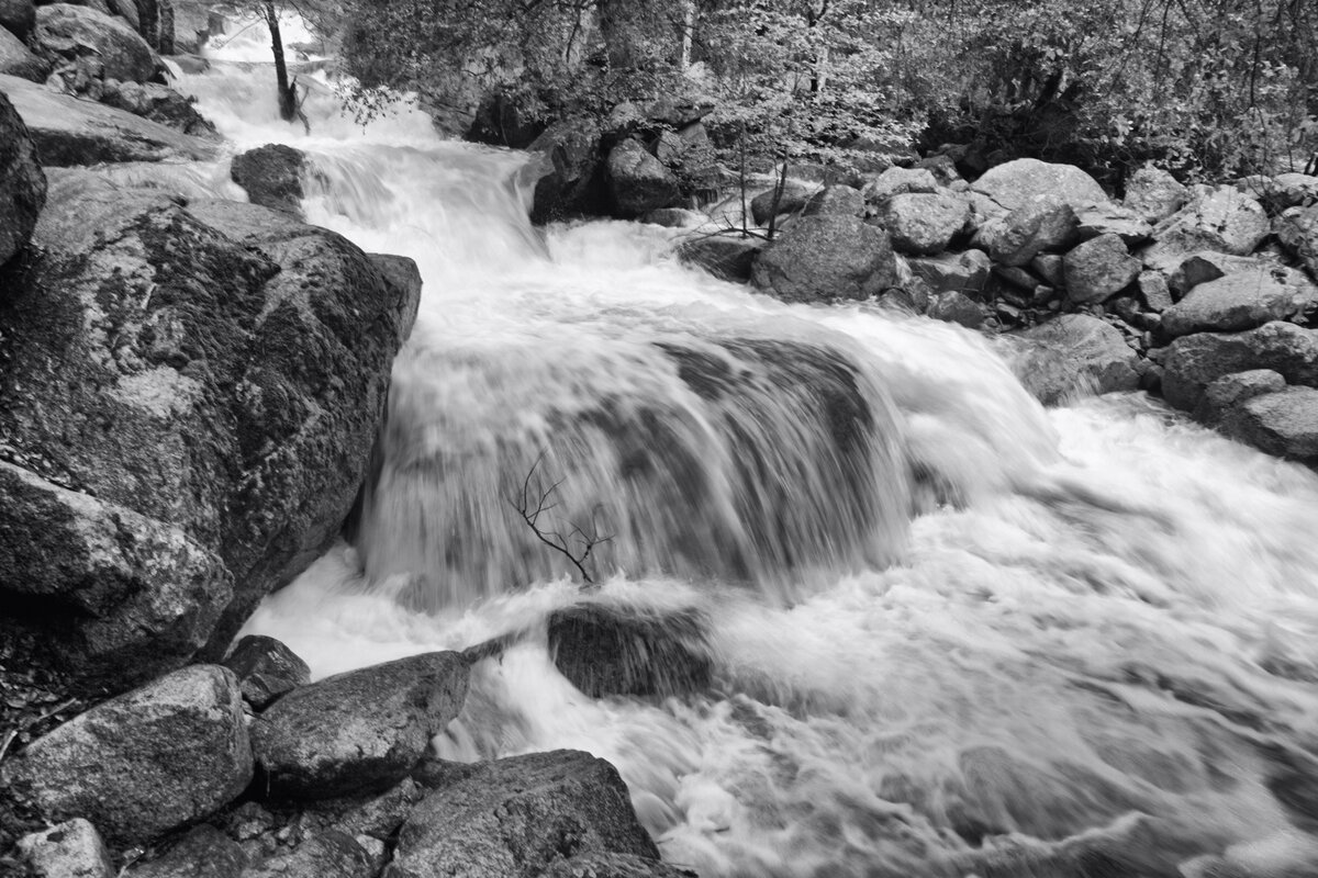 5D2_7974_230608_se1w.jpg