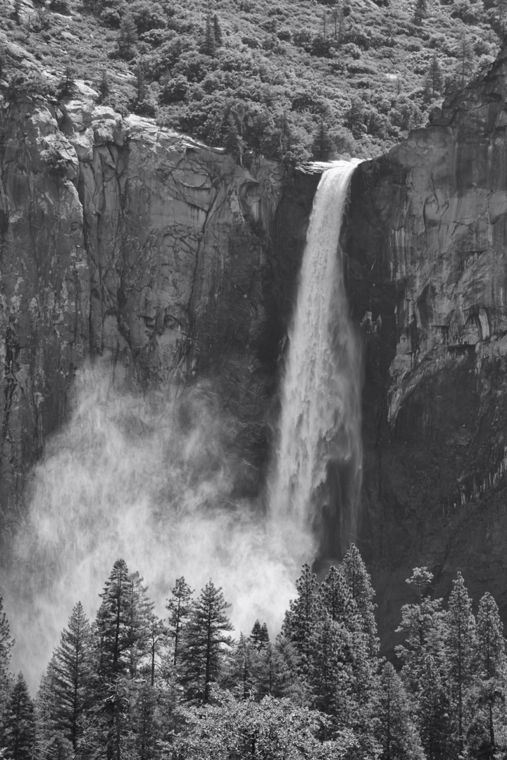 5D2_8313_230608_SE1w.jpg