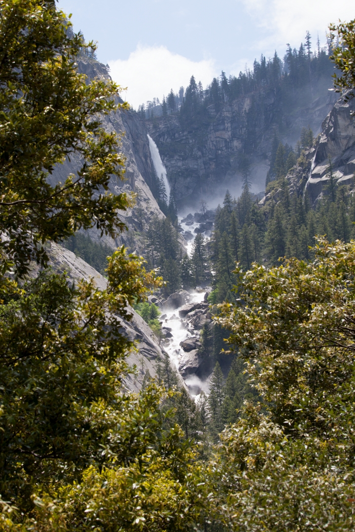 5D2_8377_230608w.JPG