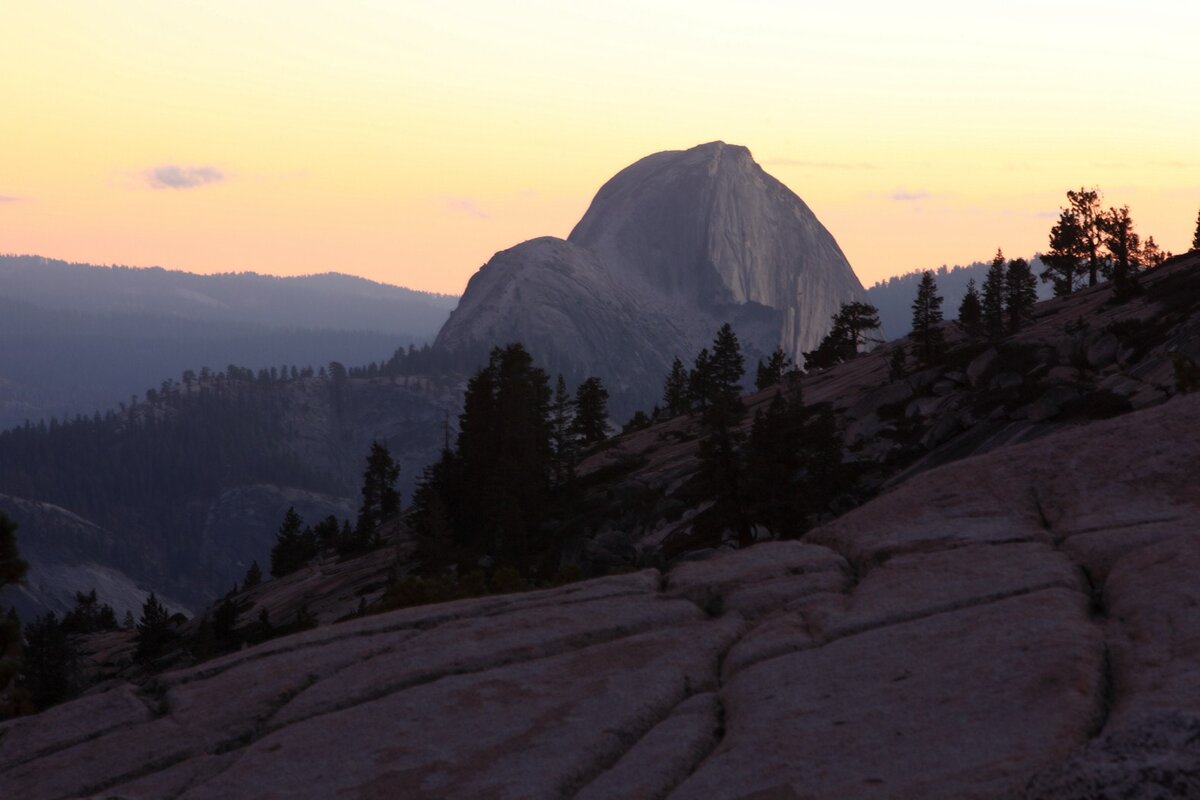 5D2_8402_121020w.JPG