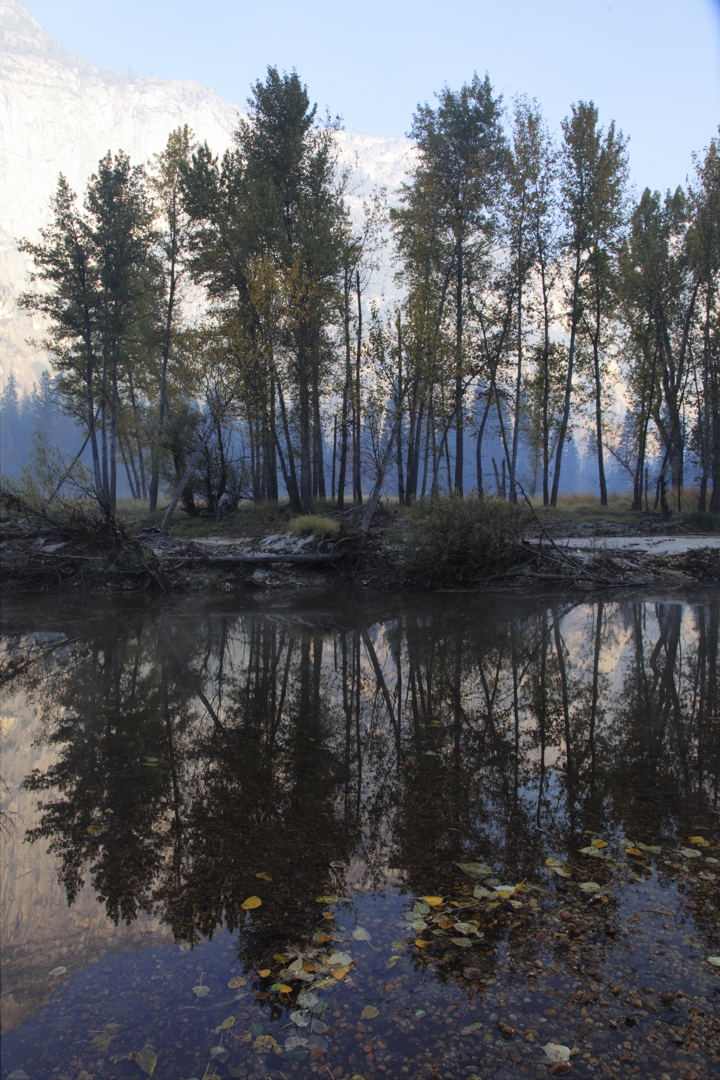 5D2_8977_78_1710221w.jpg