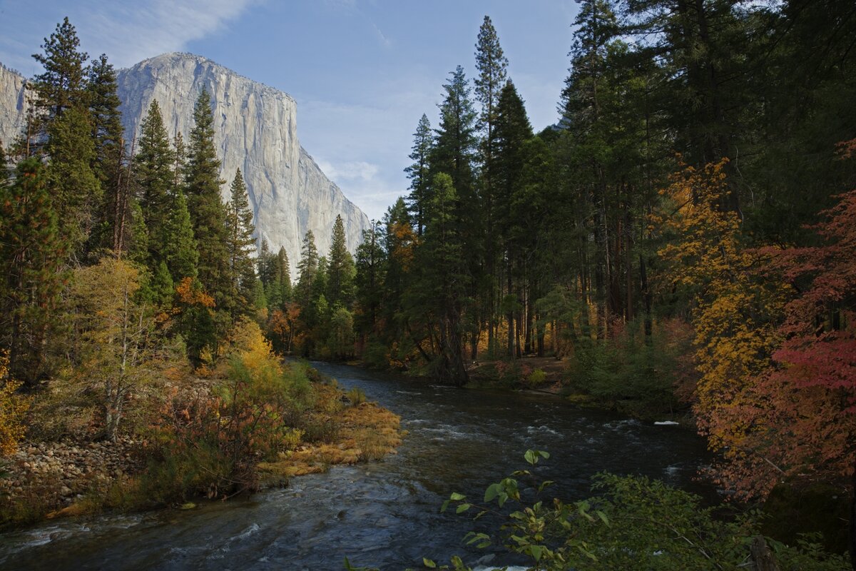 5D2_8981-82_211031w.jpg