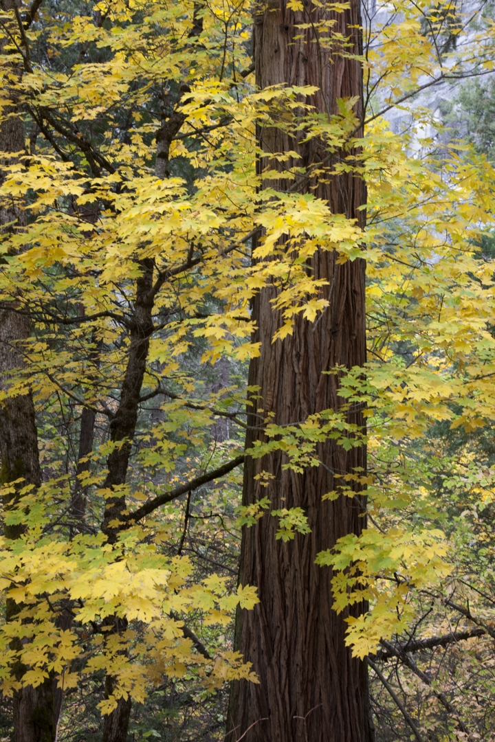 5D2_9230_211031w.jpg