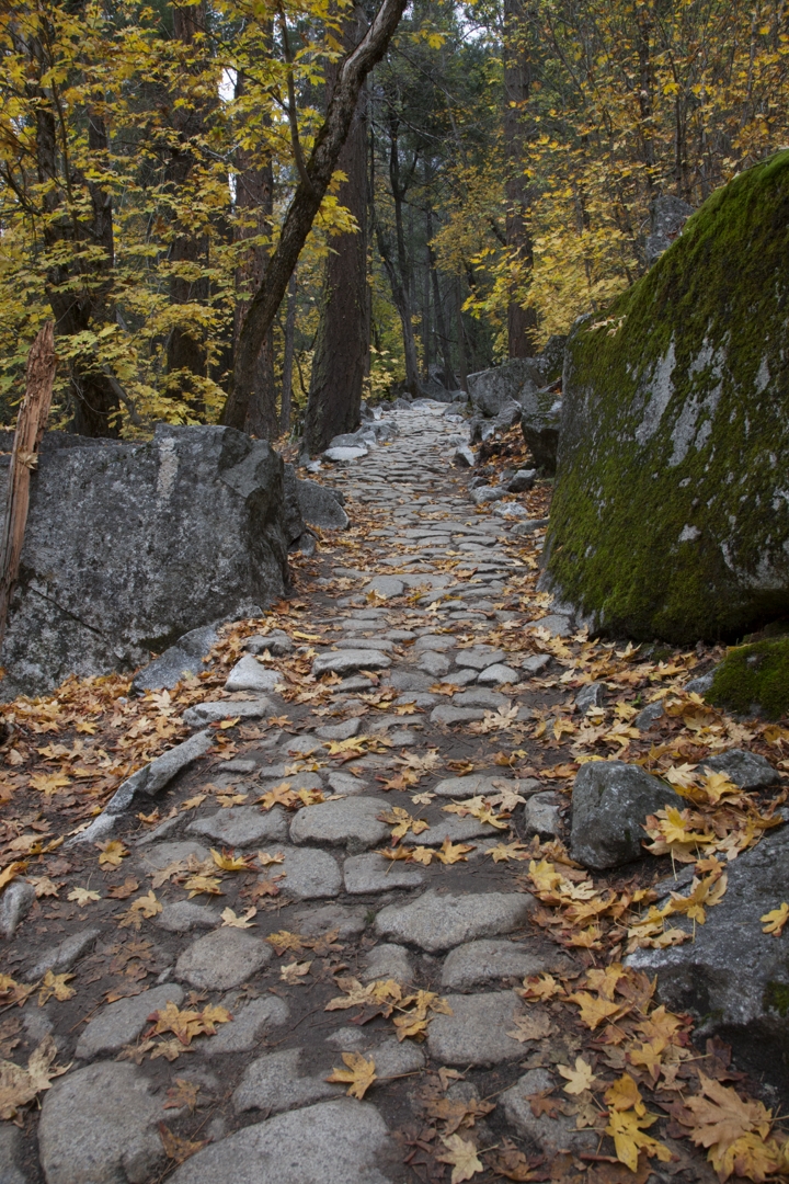 5D2_9341_211031w.jpg