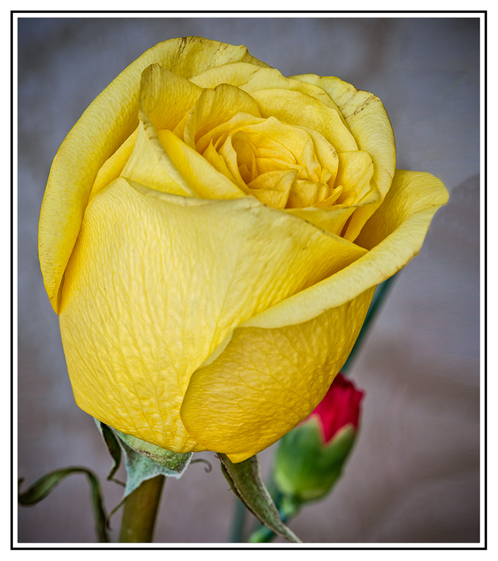 5D3_2260.jpg