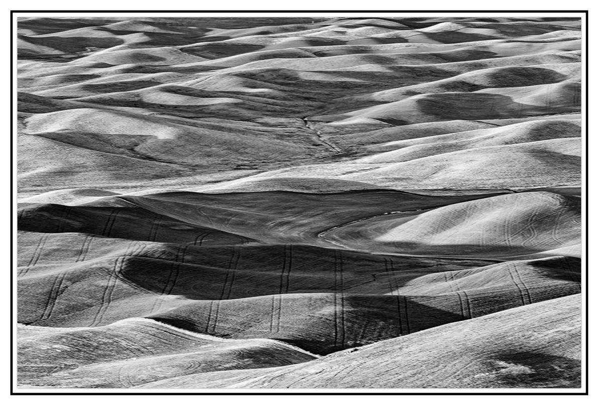 5D3_3887bw.jpg