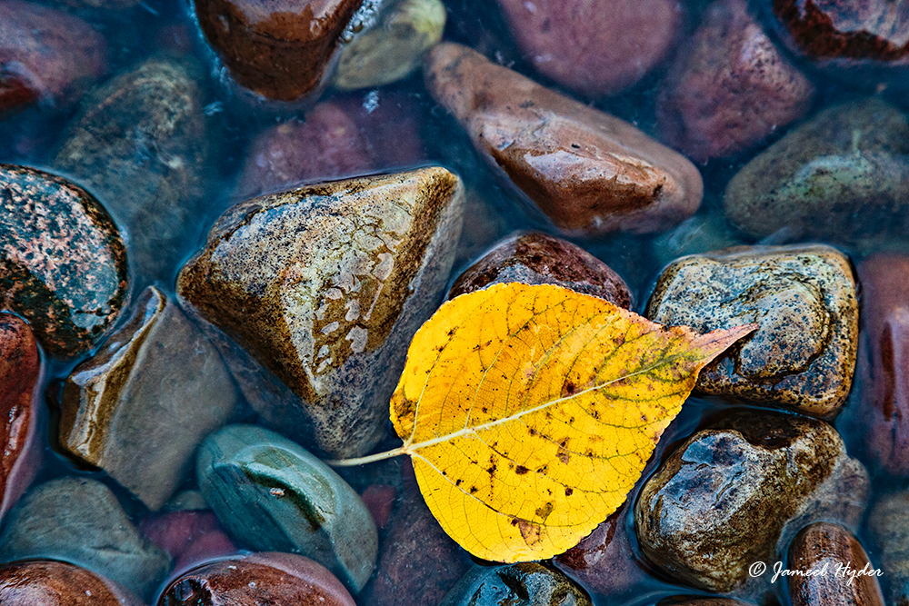 5D3_4520.jpg