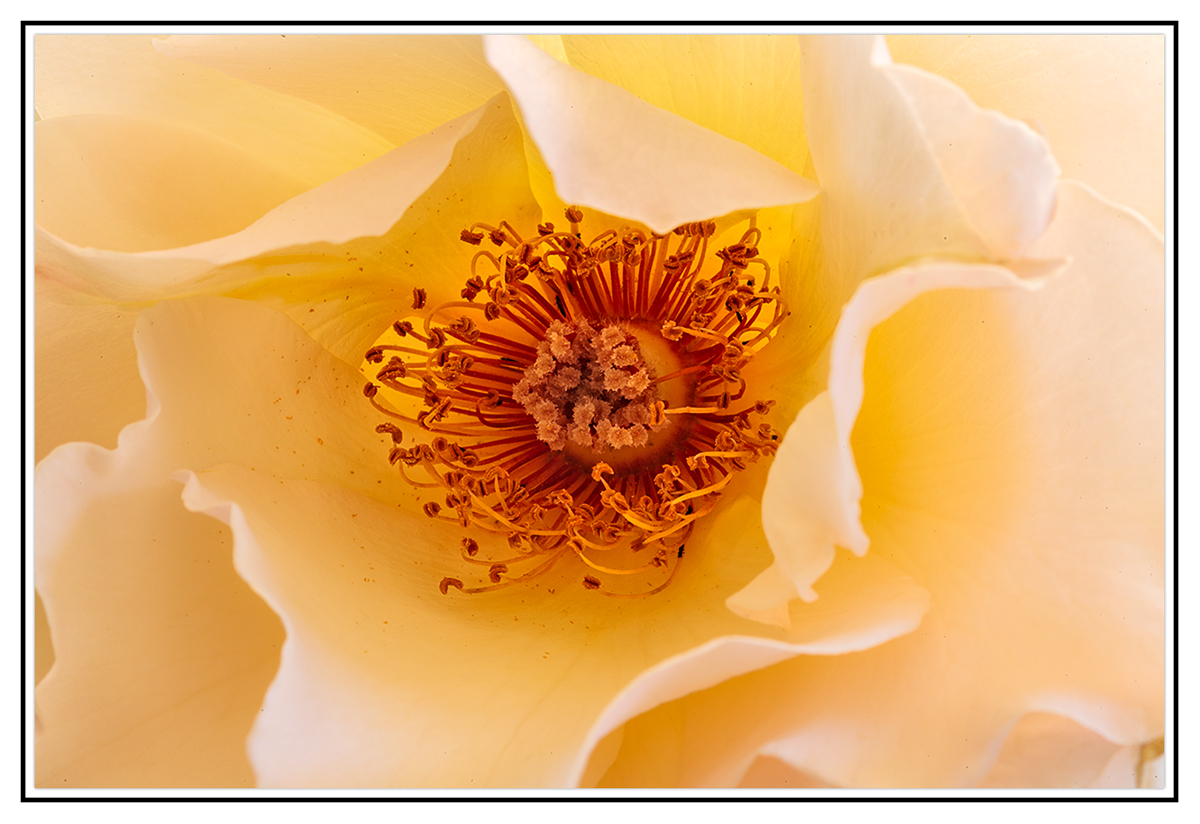 5D_1100.jpg