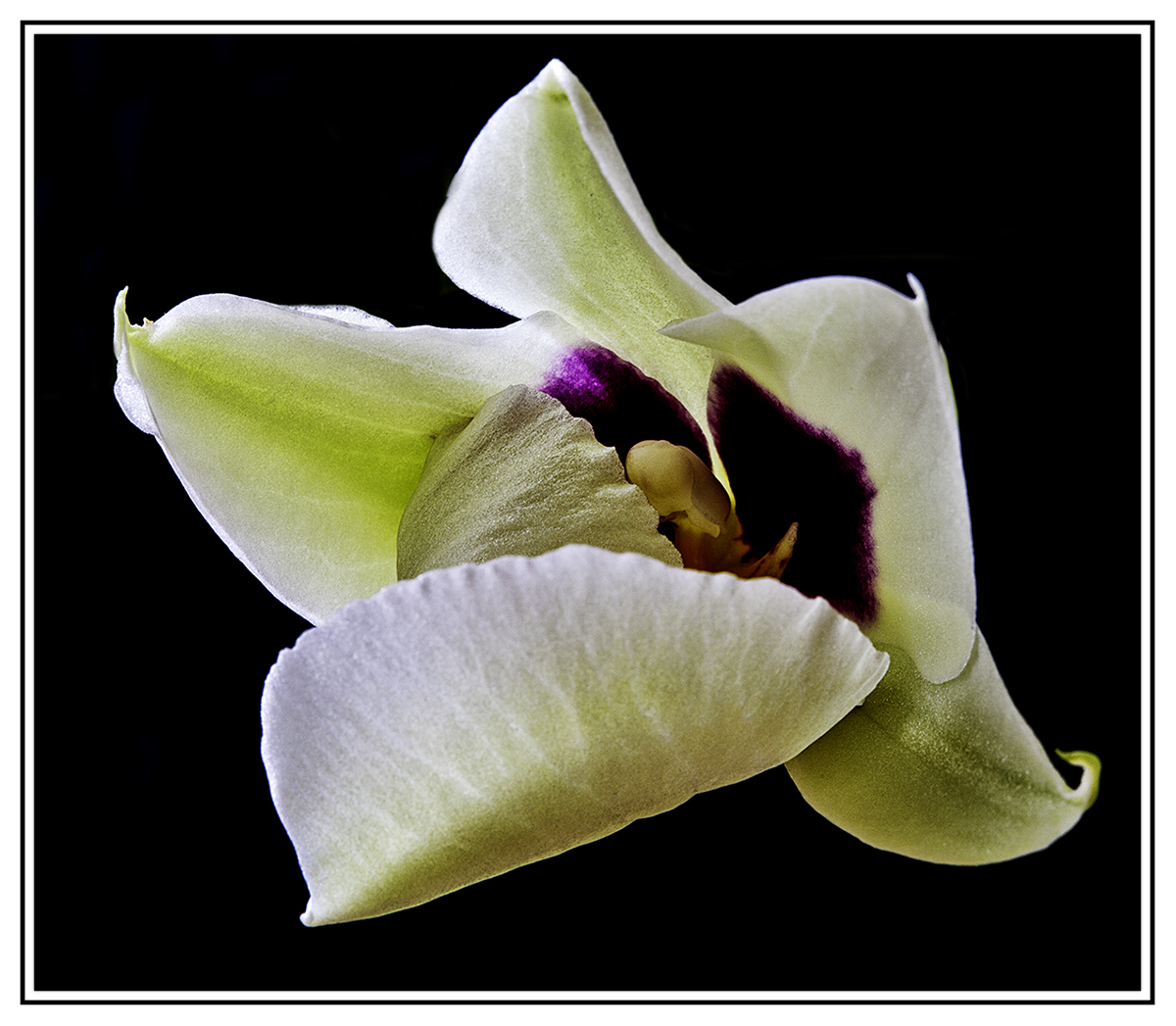 5D_2171x.jpg