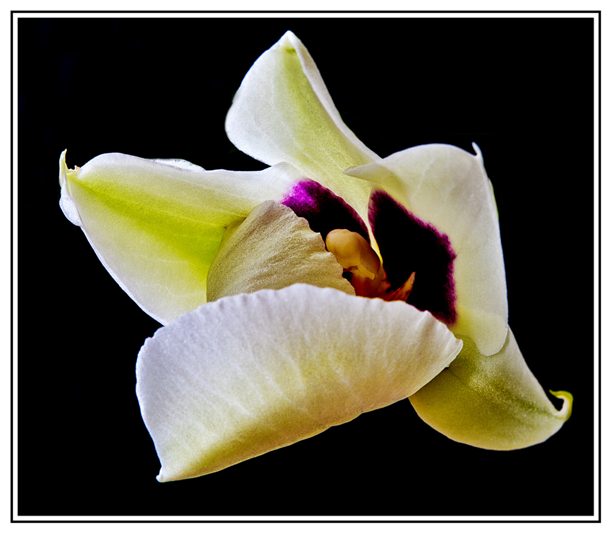5D_2171x.jpg