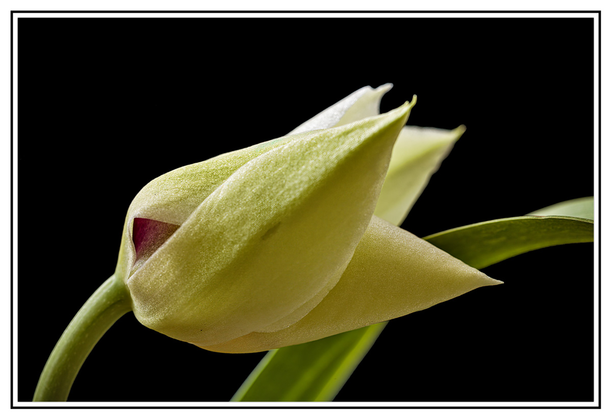 5D_2176.jpg