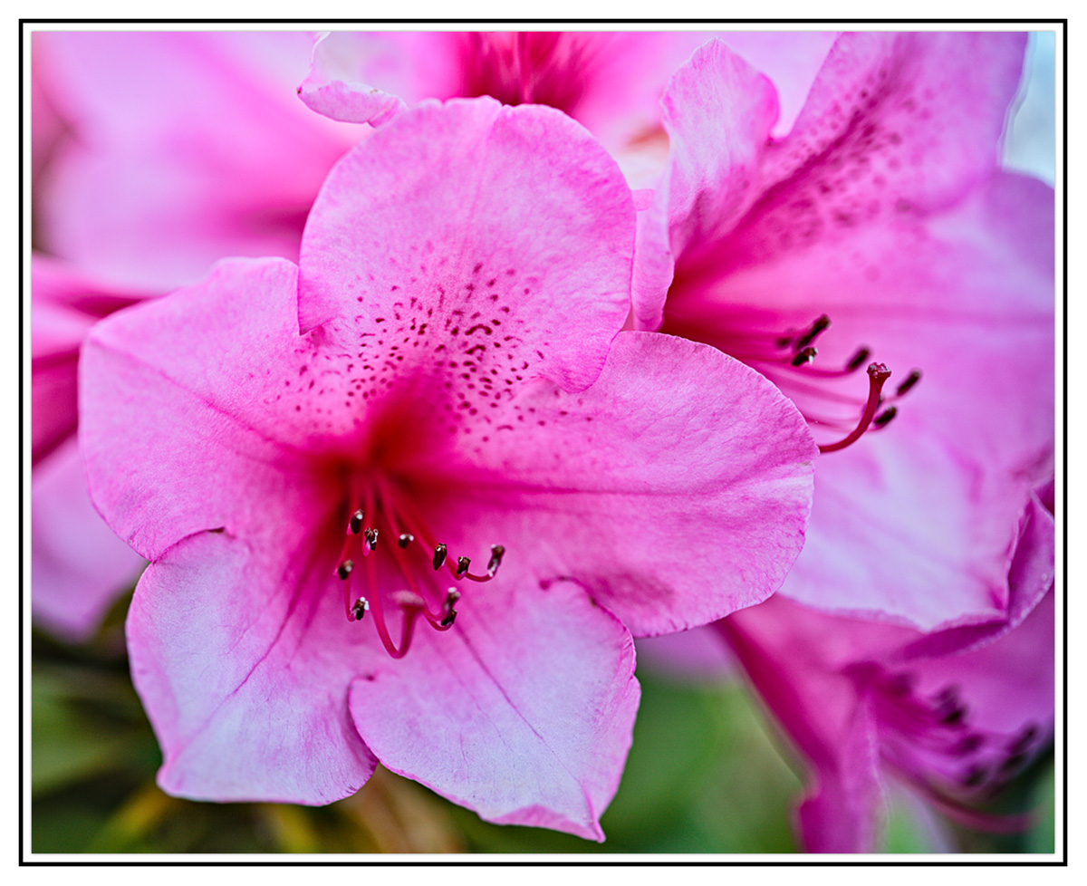 5D_4531.jpg